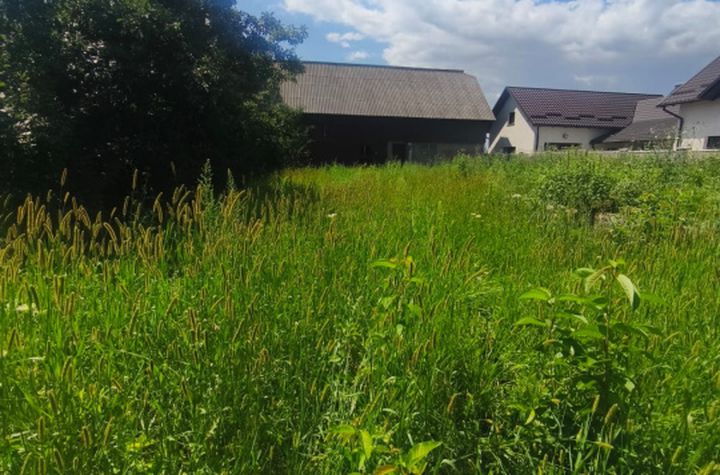 Teren de vanzare MANEUTI - Suceava anunturi imobiliare Suceava