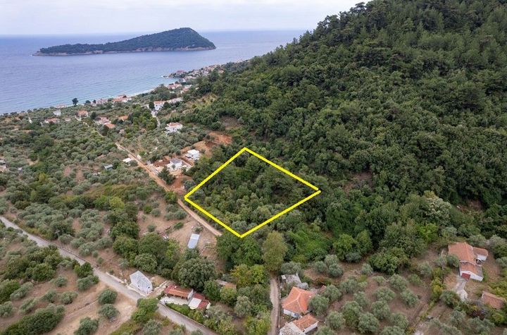Teren construibil 5.275 mp în Koinira, Thassos anunturi imobiliare Grecia