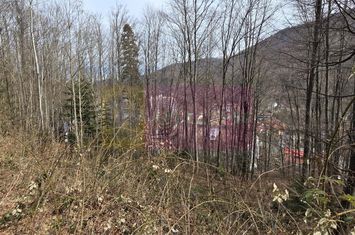 Tere intravilan de vanzare in Sinaia anunturi imobiliare Prahova