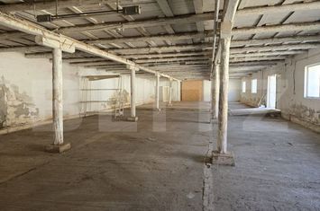 Spațiu comercial de inchiriat SATU MARE - Satu Mare anunturi imobiliare Satu Mare