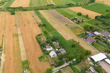 Teren generos de 5.292 m.p. in Silistea (Todiresti,Vaslui) anunturi imobiliare Vaslui