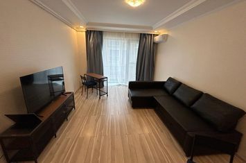 Studio for rent Iancu Nicolae anunturi imobiliare Bucuresti