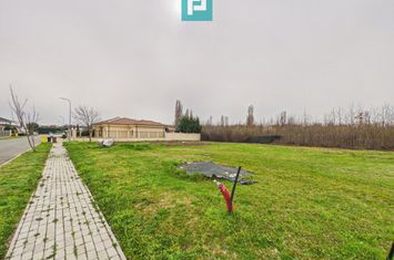 Teren în zona Tabacovici – Ideal pentru familia ta anunturi imobiliare Arad