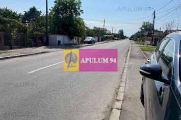 Teren Cornetu- intre case. anunturi imobiliare Bucuresti