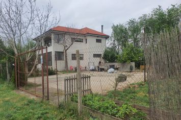 Vilă - 4 camere de vanzare ALBESTI - Constanta anunturi imobiliare Constanta