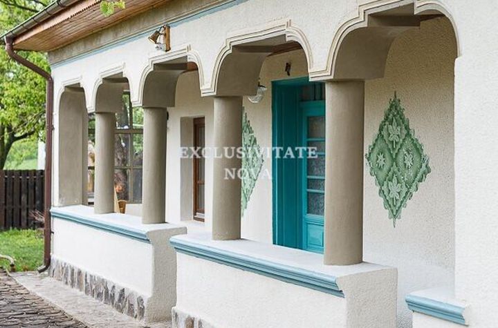 De vânzare – Casa de la Țară, unde tradiția respiră contemporan ! anunturi imobiliare Calarasi