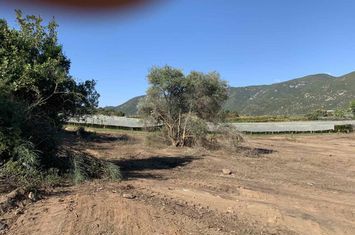 Teren agricol 6.700 mp în Elaiochori, Kavala anunturi imobiliare Grecia