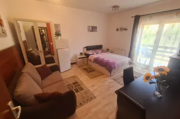 Garsonieră confort I de închiriat în Sinaia anunturi imobiliare Prahova