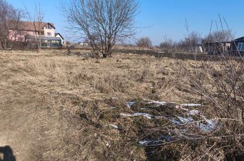 Teren de vanzare RADAUTI - Suceava anunturi imobiliare Suceava