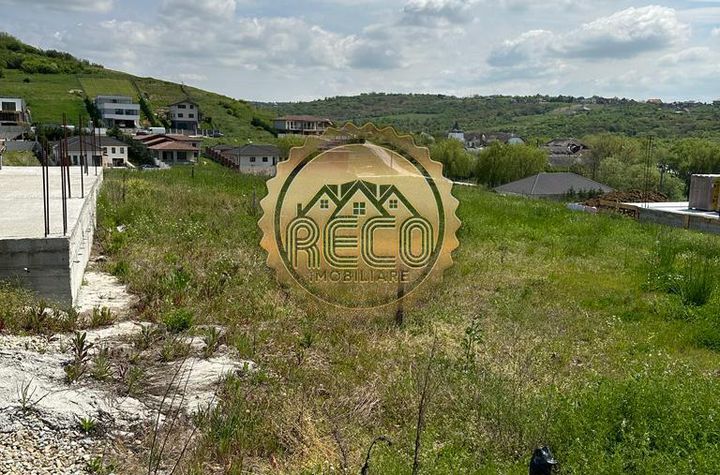 Teren Intravilan de vanzare SALDABAGIU DE MUNTE - Bihor anunturi imobiliare Bihor