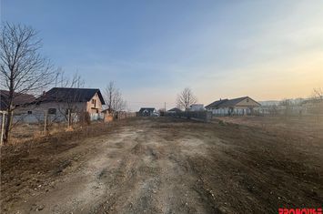 Teren Intravilan de vanzare CENTRAL - Bacau anunturi imobiliare Bacau