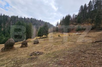 Teren de vanzare SCARISOARA - Alba anunturi imobiliare Alba