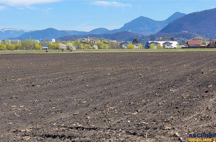 Teren Intravilan de vanzare STUPINI - Brasov anunturi imobiliare Brasov