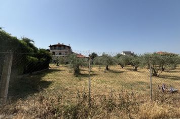 Teren 498 mp în Elaionas, Serres anunturi imobiliare Grecia