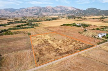 Teren construibil 3.895 mp în N. Kromni, Drama anunturi imobiliare Grecia