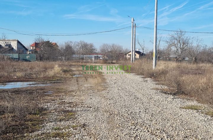 VANZARE TEREN INTRAVILAN 1.000 MP - CERNICA-TANGANU anunturi imobiliare Bucuresti