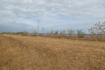 Teren dezvoltare rezidentiala / industriala, sat Dumbrava, Targoviște anunturi imobiliare Dambovita