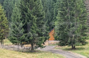 Teren de vanzare BISTRITA - Bistrita-Nasaud anunturi imobiliare Bistrita-Nasaud