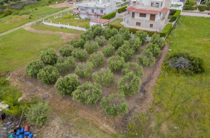 Teren construibil 751 mp în Galipsos, Kavala anunturi imobiliare Grecia