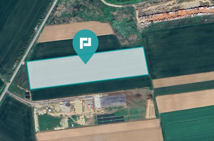 Teren intravilan 35.000 mp – Șag anunturi imobiliare Timis