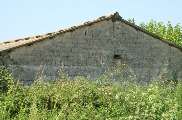 Teren agricol 4000 mp cu construcție 300 mp în Nea Karvali anunturi imobiliare Grecia