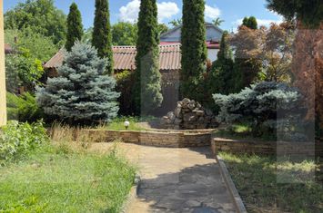 Spațiu comercial de vanzare BOTOSANI - Botosani anunturi imobiliare Botosani