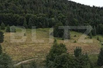 Teren de vanzare HUEDIN - Cluj anunturi imobiliare Cluj