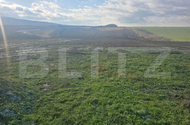 Teren de vanzare CHERIU - Bihor anunturi imobiliare Bihor