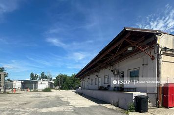 Spațiu industrial de inchiriat BRAGADIRU - Bucuresti anunturi imobiliare Bucuresti