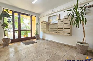 Apartament 3 camere de inchiriat GRIVITEI - Brasov anunturi imobiliare Brasov