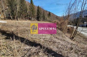 Teren Intravilan de Vânzare Sinaia anunturi imobiliare Prahova