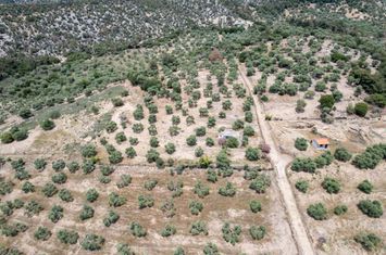 Teren 5.230 mp cu casă legală în Astrida, Thassos anunturi imobiliare Grecia