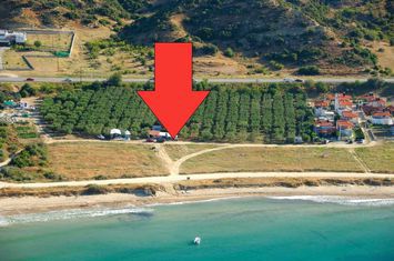 Teren construibil 13600 mp, Nea Mesolakkia (Kariani) anunturi imobiliare Grecia