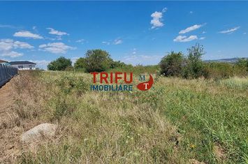 Teren Intravilan de vanzare CETATE - Alba anunturi imobiliare Alba