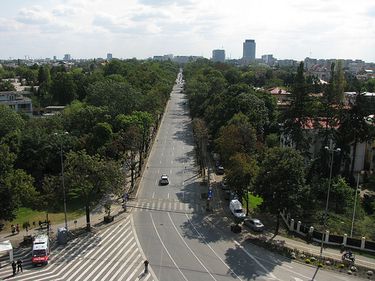 Kiseleff, locul în care toată lumea vrea să locuiască, dar nimeni nu cumpără