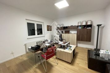 Vila P+M, finisata modern, curte amenajata, zona Modern-Crisan anunturi imobiliare Timis