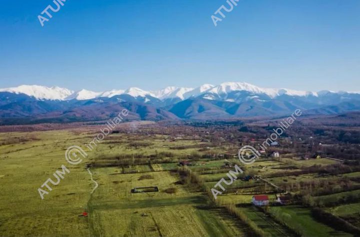 Teren Intravilan de vanzare AVRIG - Sibiu anunturi imobiliare Sibiu