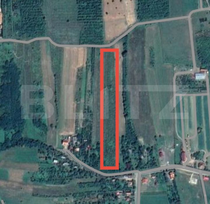 Teren de vanzare VIILE SATU MARE - Satu Mare anunturi imobiliare Satu Mare