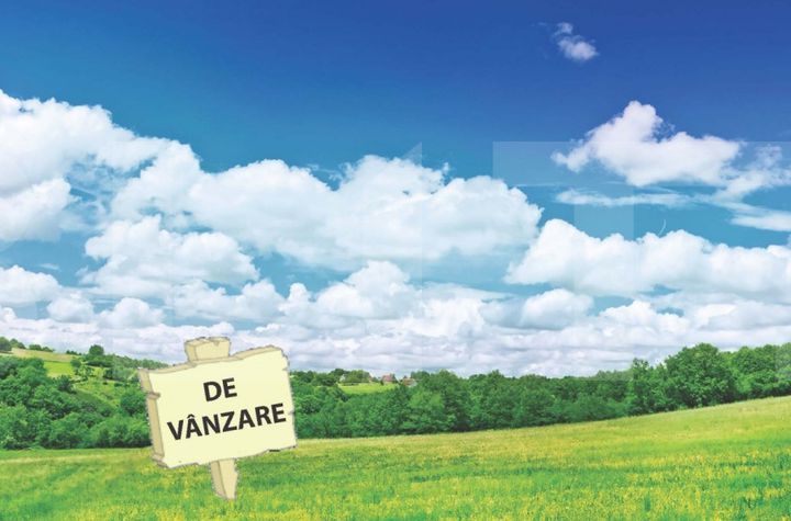 Teren de vanzare MOSNITA NOUA - Timis anunturi imobiliare Timis