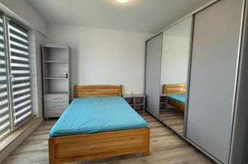 COMPLEX ZORILOR, PE MOARA DE VANT, LIBER PENTRU INCHIRIERE anunturi imobiliare Iasi