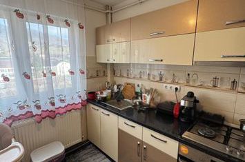 Apartament 3 camere de vanzare BAIA SPRIE - Maramures anunturi imobiliare Maramures