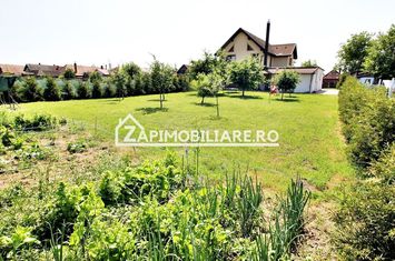 Casa 5 camere, 326mp, 1.253mp teren,  0% comision anunturi imobiliare Mures