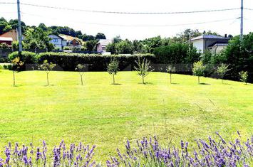 Casă - 4 camere de vanzare SALICEA - Cluj anunturi imobiliare Cluj