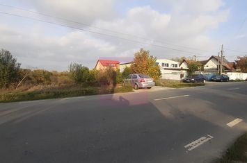 Teren bun pentru 2 sau 3 case aproape de Bucuresti. anunturi imobiliare Bucuresti