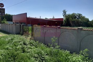Movilita (IL)-teren de inchiriat aprox. 2 ha stradal, langa Profi anunturi imobiliare Ialomita