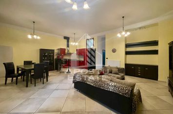 Apartament 3 camere, curte cu acces auto, ULTRACENTRAL anunturi imobiliare Arad
