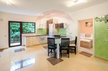 Apartament de inchiriat la vila - 3 camere zona linistita anunturi imobiliare Sibiu