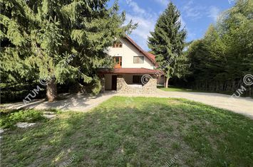 Apartament 7 camere de vanzare AVRIG - Sibiu anunturi imobiliare Sibiu