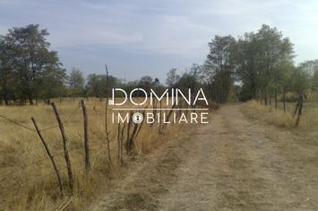 Teren de vanzare POLOVRAGI - Gorj anunturi imobiliare Gorj