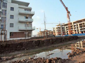 Apartamentul nou - gardul care ascunde leopardul
